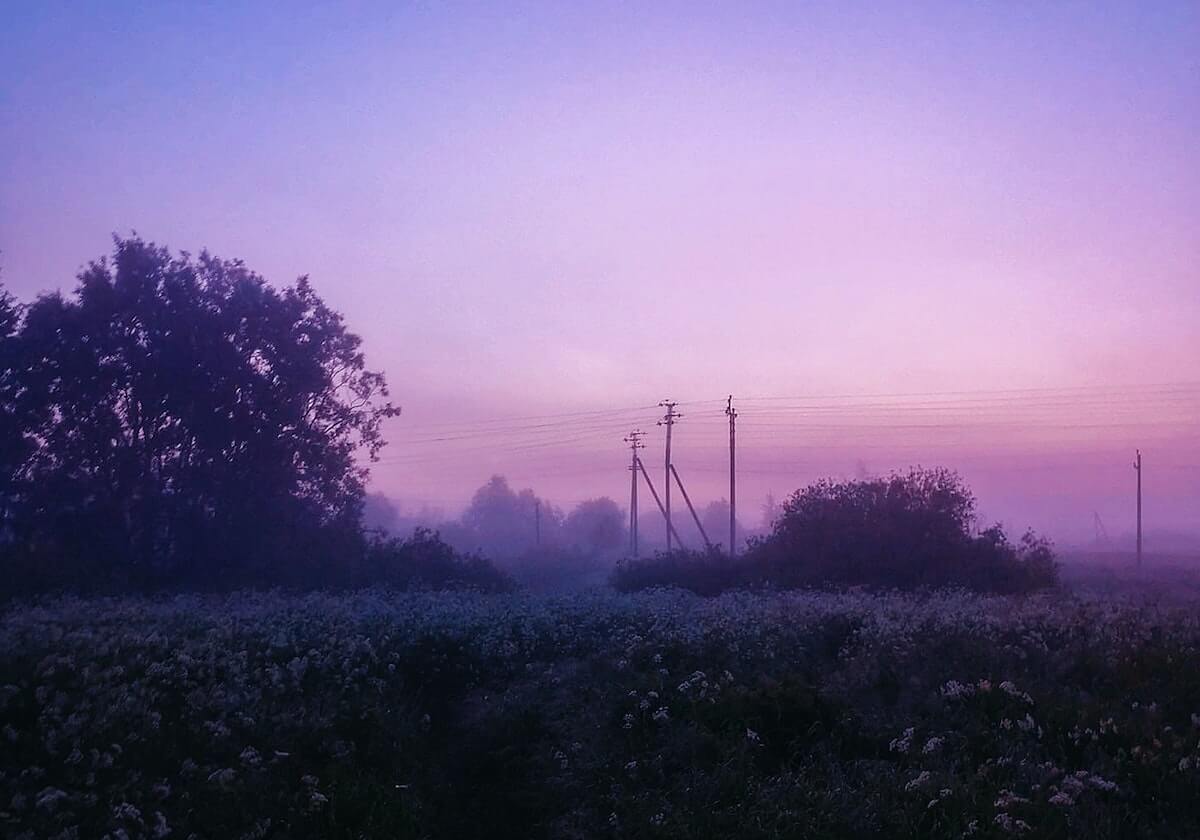 樊振东，继续在德甲打球
